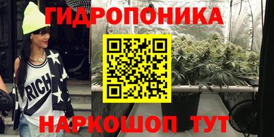 СК Новокубанск