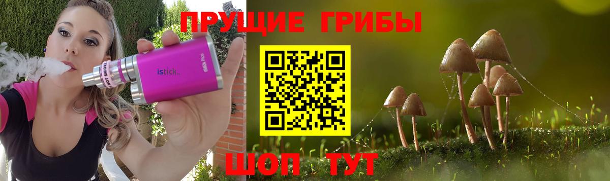 Рассказово  Галлюциногенные грибы ЛСД  Вход с VPN  Галлюциногенные грибы GOLDEN TEACHER 